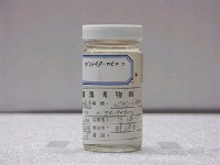 藏品(銀身蝴蝶魚)的圖片